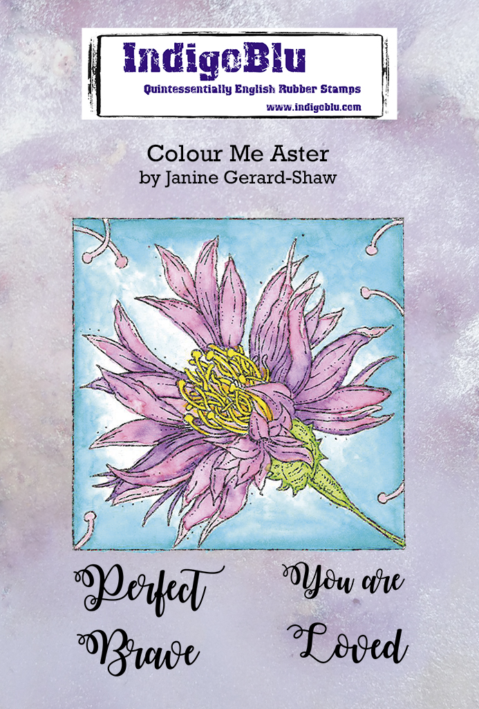 Colour Me - Aster A6 Red Rubber Stamp
